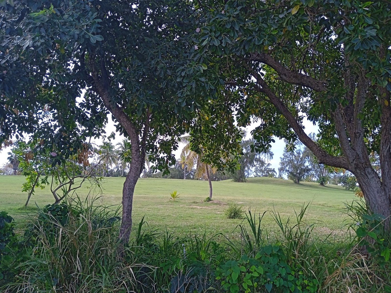 Internationaler Golfplatz