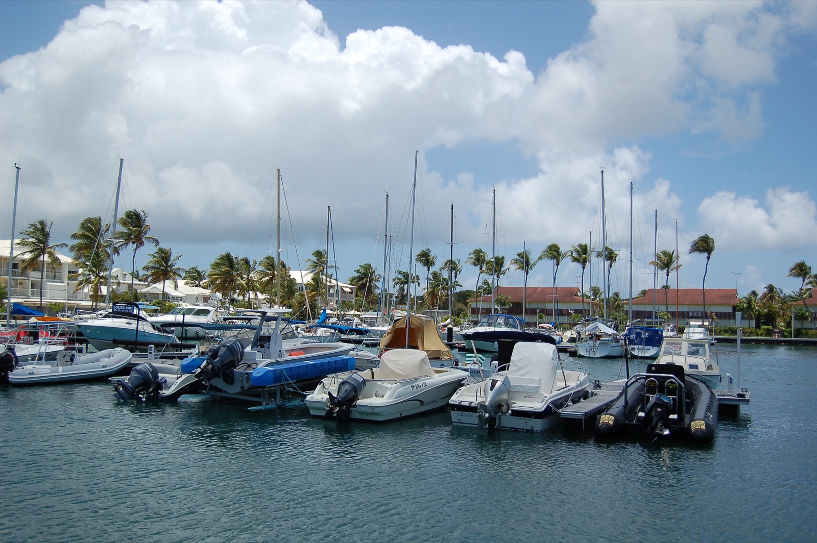 Marina & Restaurants